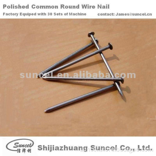 Common Round Nails and Black Nails and Polished Nails